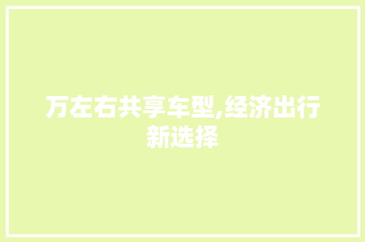 万左右共享车型,经济出行新选择