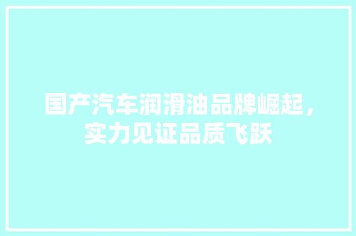 国产汽车润滑油品牌崛起，实力见证品质飞跃