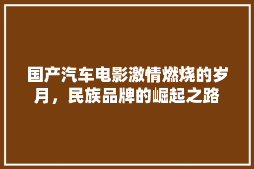 国产汽车电影激情燃烧的岁月，民族品牌的崛起之路