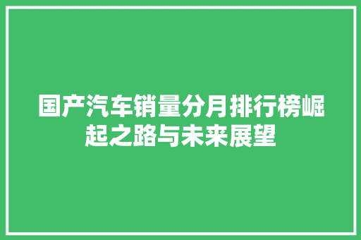 国产汽车销量分月排行榜崛起之路与未来展望