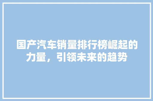 国产汽车销量排行榜崛起的力量，引领未来的趋势