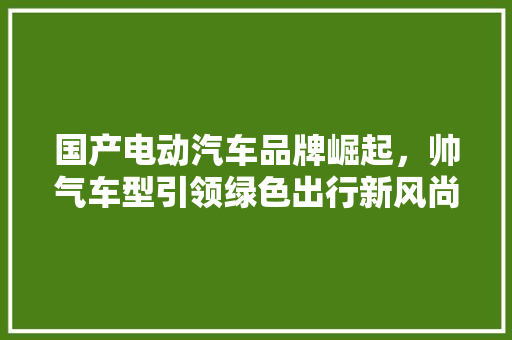 国产电动汽车品牌崛起，帅气车型引领绿色出行新风尚