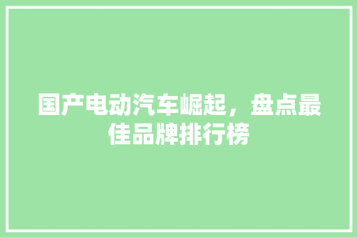 国产电动汽车崛起，盘点最佳品牌排行榜