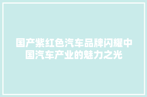 国产紫红色汽车品牌闪耀中国汽车产业的魅力之光