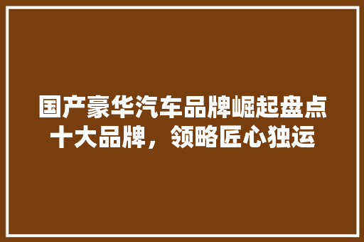 国产豪华汽车品牌崛起盘点十大品牌，领略匠心独运