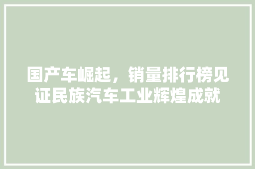 国产车崛起，销量排行榜见证民族汽车工业辉煌成就 汽车保养