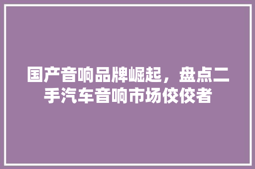 国产音响品牌崛起，盘点二手汽车音响市场佼佼者