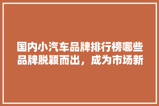 国内小汽车品牌排行榜哪些品牌脱颖而出，成为市场新宠