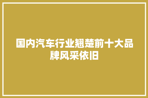 国内汽车行业翘楚前十大品牌风采依旧