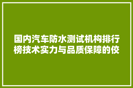 国内汽车防水测试机构排行榜技术实力与品质保障的佼佼者