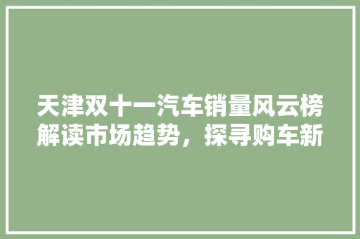 天津双十一汽车销量风云榜解读市场趋势，探寻购车新动向