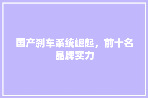 国产刹车系统崛起，前十名品牌实力