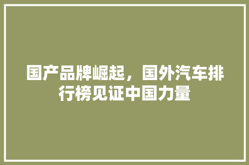 国产品牌崛起，国外汽车排行榜见证中国力量