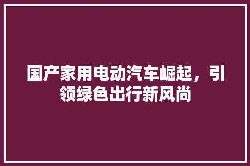 国产家用电动汽车崛起，引领绿色出行新风尚