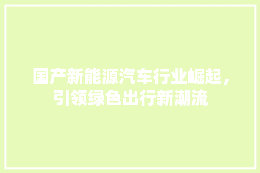 国产新能源汽车行业崛起，引领绿色出行新潮流