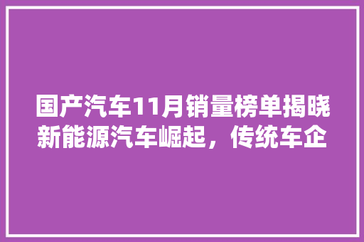 国产汽车11月销量榜单揭晓新能源汽车崛起，传统车企稳扎稳打