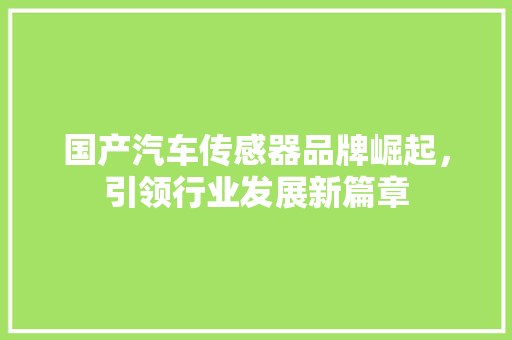 国产汽车传感器品牌崛起，引领行业发展新篇章
