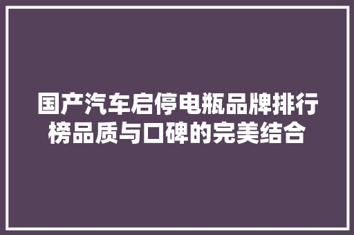 国产汽车启停电瓶品牌排行榜品质与口碑的完美结合