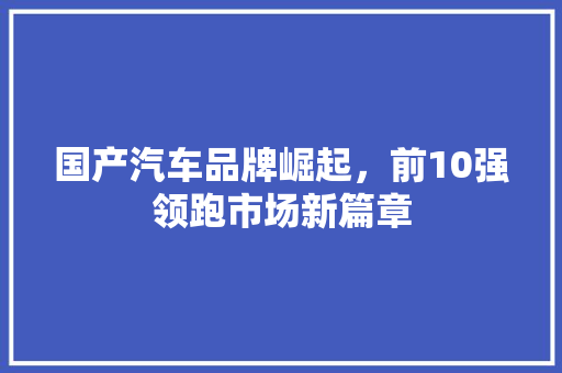 国产汽车品牌崛起，前10强领跑市场新篇章