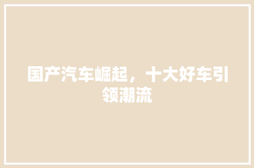 国产汽车崛起，十大好车引领潮流