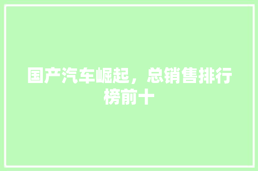 国产汽车崛起，总销售排行榜前十