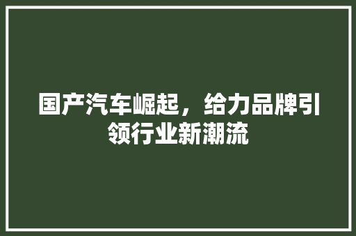 国产汽车崛起，给力品牌引领行业新潮流