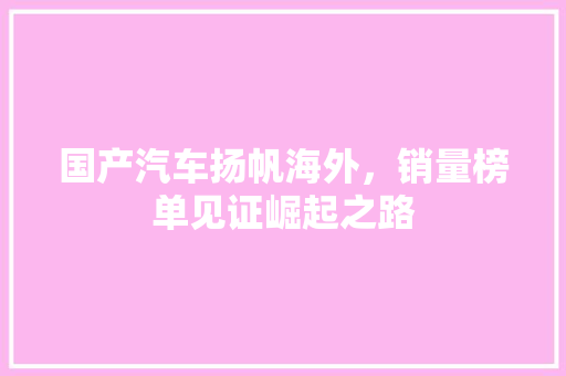 国产汽车扬帆海外，销量榜单见证崛起之路 车型评测
