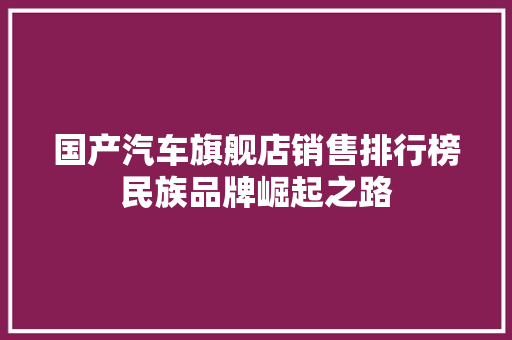 国产汽车旗舰店销售排行榜民族品牌崛起之路