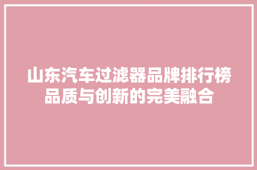山东汽车过滤器品牌排行榜品质与创新的完美融合