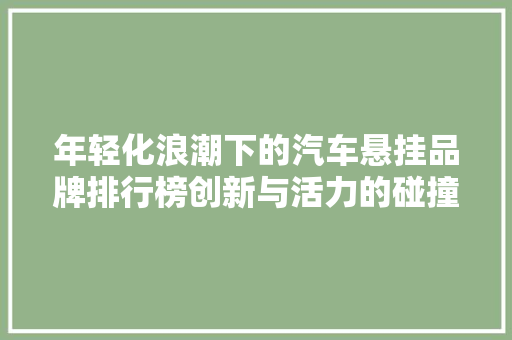 年轻化浪潮下的汽车悬挂品牌排行榜创新与活力的碰撞