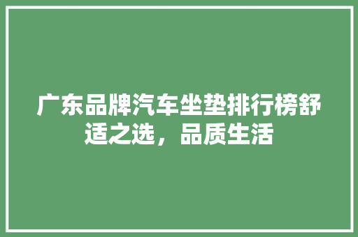 广东品牌汽车坐垫排行榜舒适之选，品质生活