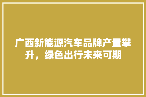 广西新能源汽车品牌产量攀升，绿色出行未来可期