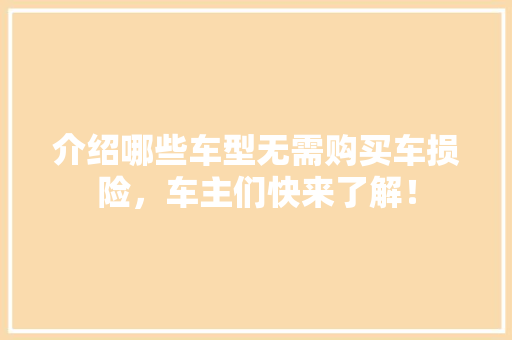 介绍哪些车型无需购买车损险，车主们快来了解！
