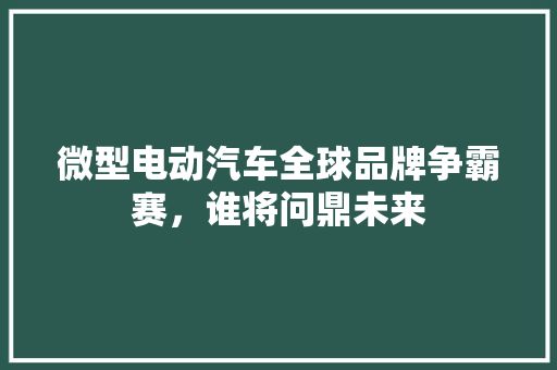 微型电动汽车全球品牌争霸赛，谁将问鼎未来 自动驾驶