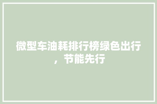 微型车油耗排行榜绿色出行，节能先行