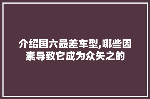 介绍国六最差车型,哪些因素导致它成为众矢之的