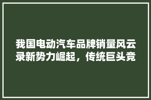 我国电动汽车品牌销量风云录新势力崛起，传统巨头竞相发力