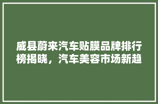 威县蔚来汽车贴膜品牌排行榜揭晓，汽车美容市场新趋势
