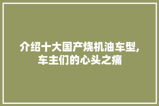 介绍十大国产烧机油车型,车主们的心头之痛