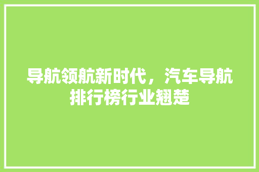 导航领航新时代，汽车导航排行榜行业翘楚 汽车展览