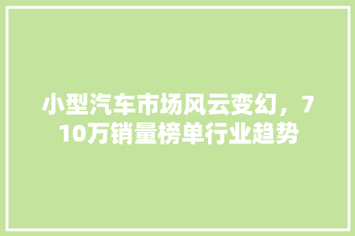 小型汽车市场风云变幻，710万销量榜单行业趋势