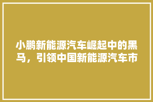 小鹏新能源汽车崛起中的黑马，引领中国新能源汽车市场新风向
