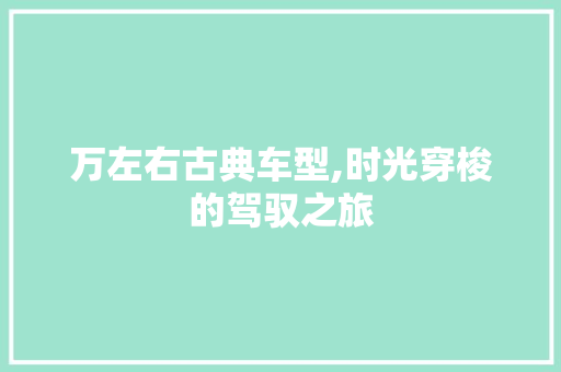 万左右古典车型,时光穿梭的驾驭之旅