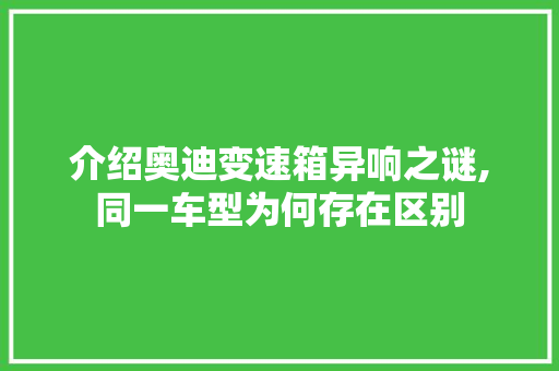 介绍奥迪变速箱异响之谜,同一车型为何存在区别