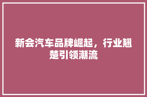 新会汽车品牌崛起，行业翘楚引领潮流