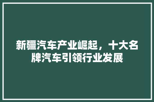 新疆汽车产业崛起，十大名牌汽车引领行业发展