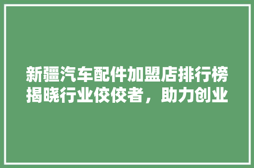 新疆汽车配件加盟店排行榜揭晓行业佼佼者，助力创业者选优加盟