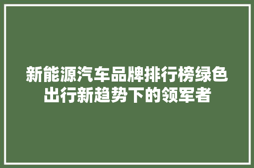 新能源汽车品牌排行榜绿色出行新趋势下的领军者