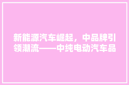 新能源汽车崛起，中品牌引领潮流——中纯电动汽车品牌排行榜