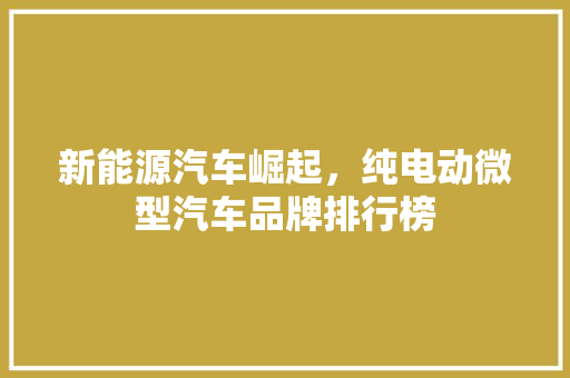 新能源汽车崛起，纯电动微型汽车品牌排行榜